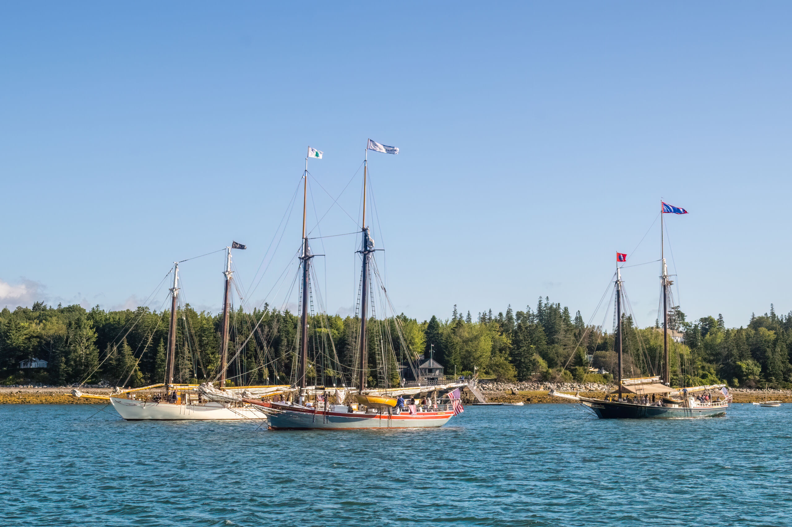 Six Reasons We Love Sailing on Penobscot Bay - Maine Windjammer Association